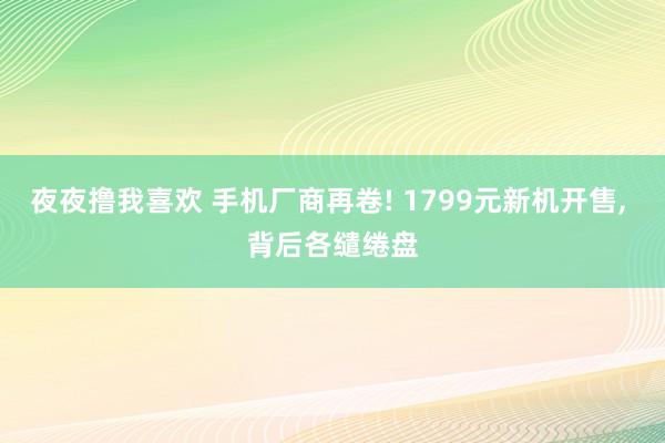 夜夜撸我喜欢 手机厂商再卷! 1799元新机开售， 背后各缱绻盘