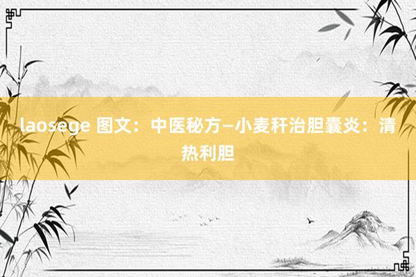 laosege 图文：中医秘方—小麦秆治胆囊炎：清热利胆
