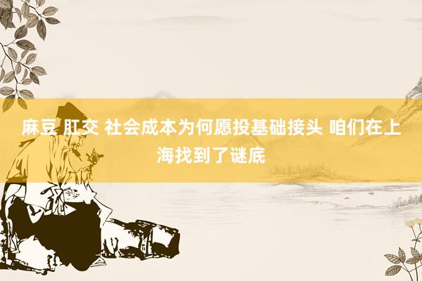 麻豆 肛交 社会成本为何愿投基础接头 咱们在上海找到了谜底