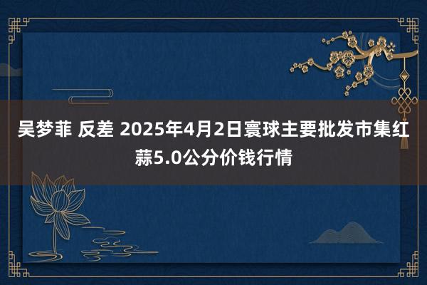 吴梦菲 反差 2025年4月2日寰球主要批发市集红蒜5.0公分价钱行情