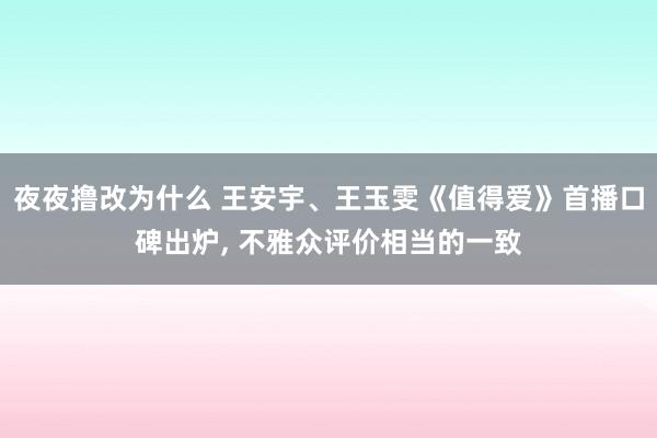 夜夜撸改为什么 王安宇、王玉雯《值得爱》首播口碑出炉， 不雅众评价相当的一致