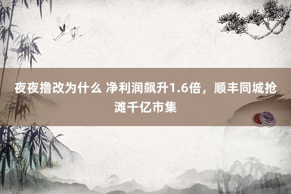 夜夜撸改为什么 净利润飙升1.6倍，顺丰同城抢滩千亿市集