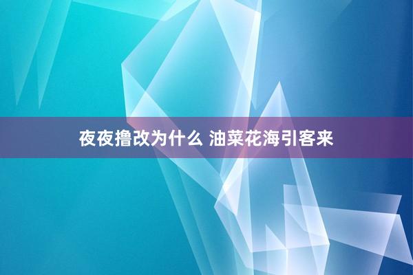 夜夜撸改为什么 油菜花海引客来