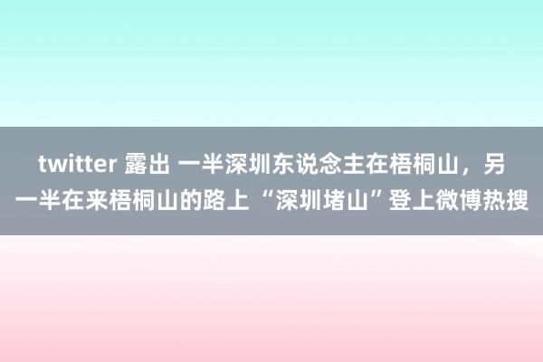 twitter 露出 一半深圳东说念主在梧桐山，另一半在来梧桐山的路上 “深圳堵山”登上微博热搜