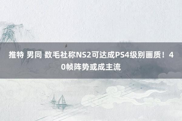 推特 男同 数毛社称NS2可达成PS4级别画质！40帧阵势或成主流