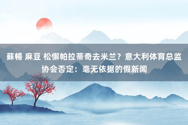 蘇暢 麻豆 松懈帕拉蒂奇去米兰？意大利体育总监协会否定：毫无依据的假新闻