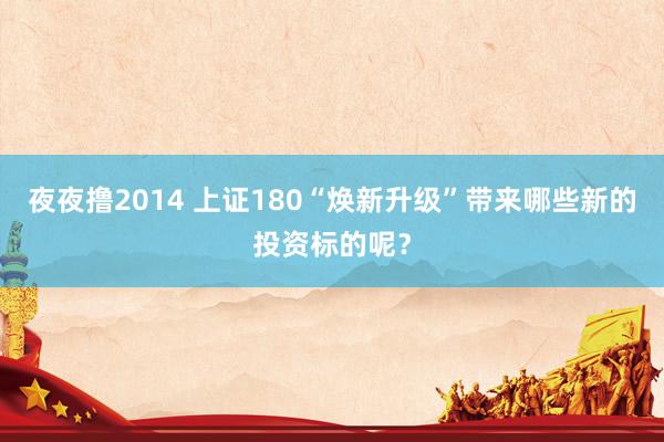 夜夜撸2014 上证180“焕新升级”带来哪些新的投资标的呢？