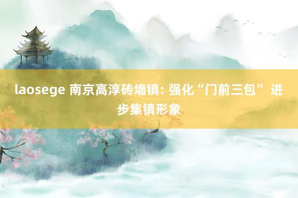 laosege 南京高淳砖墙镇: 强化“门前三包” 进步集镇形象