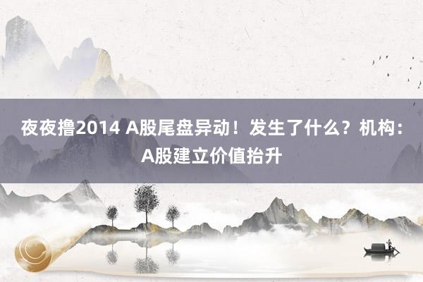 夜夜撸2014 A股尾盘异动！发生了什么？机构：A股建立价值抬升
