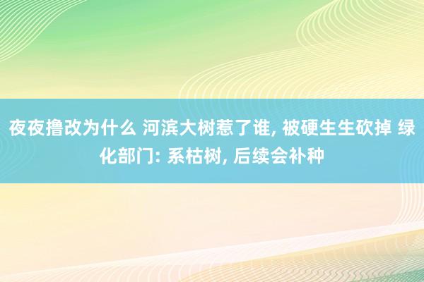 夜夜撸改为什么 河滨大树惹了谁， 被硬生生砍掉 绿化部门: 系枯树， 后续会补种