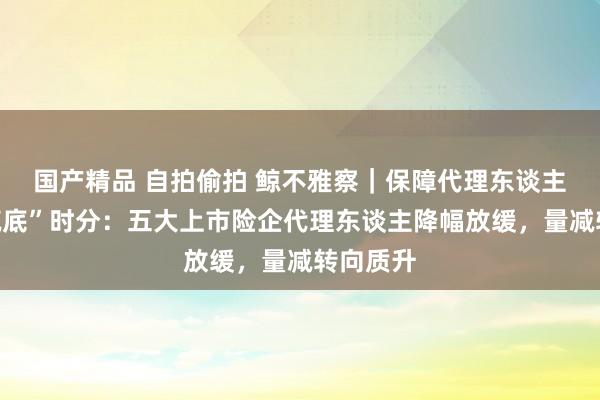 国产精品 自拍偷拍 鲸不雅察｜保障代理东谈主迈入“筑底”时分：五大上市险企代理东谈主降幅放缓，量减转向质升