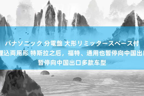 パナソニック 分電盤 大形リミッタースペース付 露出・半埋込両用形 特斯拉之后，福特、通用也暂停向中国出口多款车型