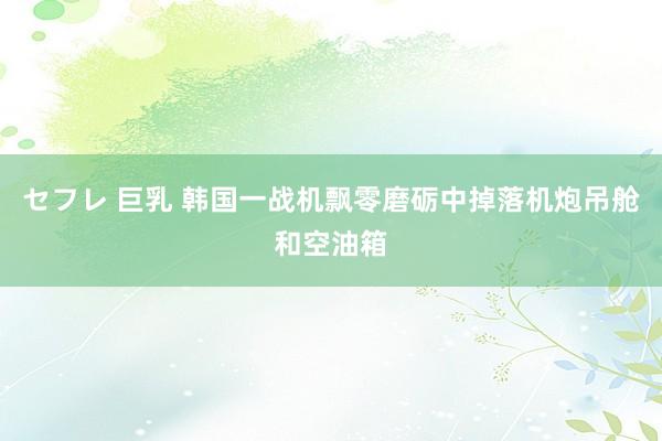 セフレ 巨乳 韩国一战机飘零磨砺中掉落机炮吊舱和空油箱