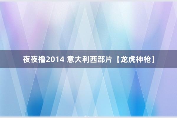 夜夜撸2014 意大利西部片【龙虎神枪】